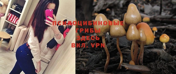 apvp Арсеньев